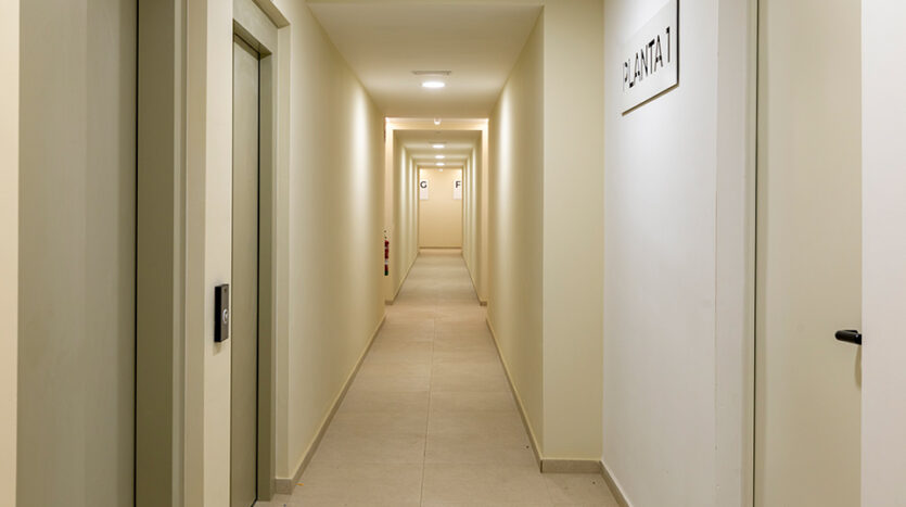 Celere Arce - obranuevaensevilla