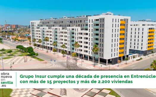 Grupo Insur Entrenucleos - obranuevaensevilla