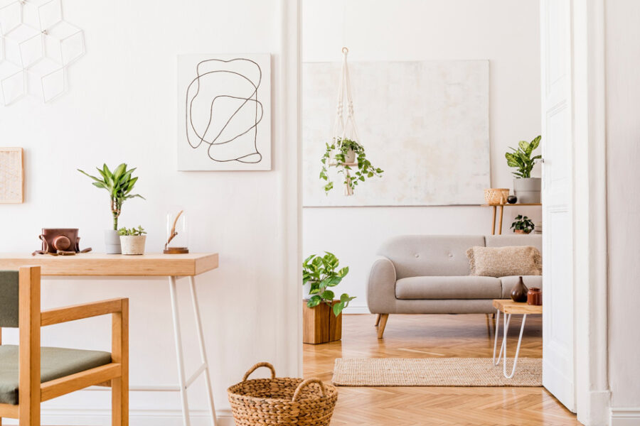 vuelta al cole y vivienda - obra nueva en Sevilla